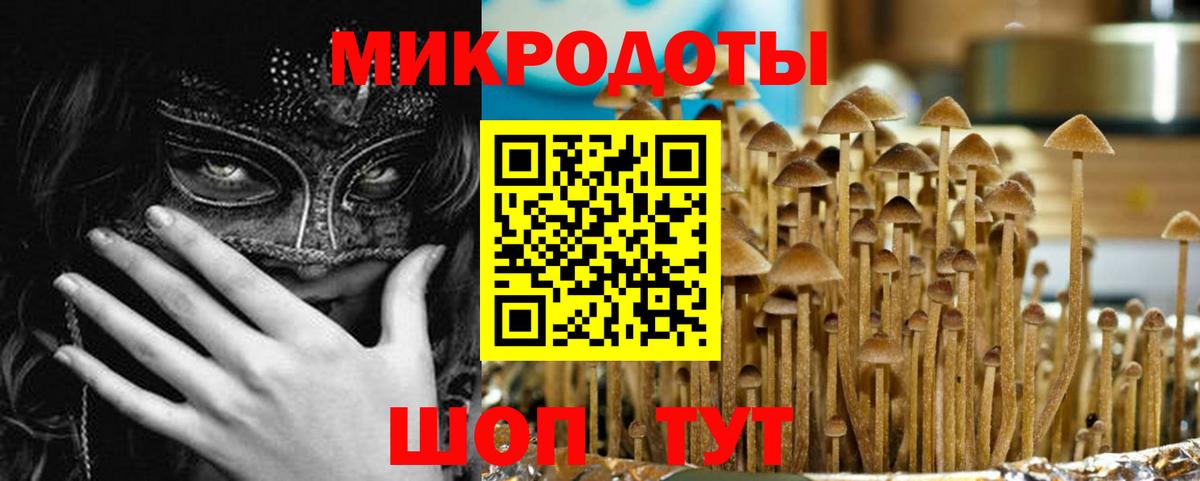 купить   Вход с VPN  Псилоцибиновые грибы Magic Shrooms  Полысаево  Галлюциногенные грибы мухоморы 